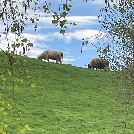 Ferien Und Freizeithof Engelau - Zi 1 Appartamento